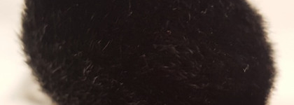 Мой набор кистей Hakuhodo (часть 1)