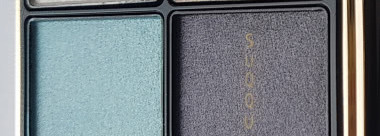 Suqqu Осень 2017: продолжение