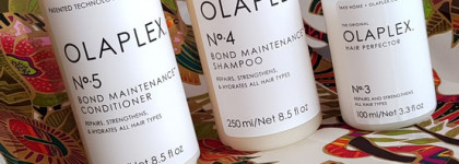 Что дает система Olaplex для домашнего ухода за волосами