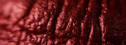 BeYu Metallic Lips Matt Nostalgia 10