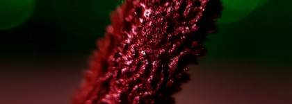 BeYu Metallic Lips Matt Nostalgia 10