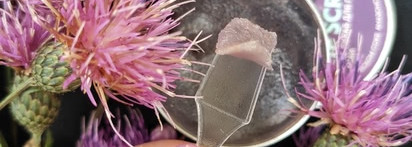 Мягкие губы от Planeta Organica