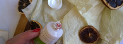 Schisandra face and body cream NR.58 Bioturm