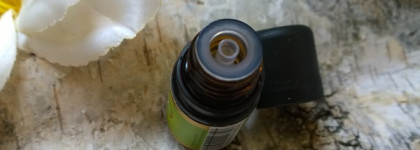 Мои любимые эфирные масла Primavera life - чайное дерево и бергамот