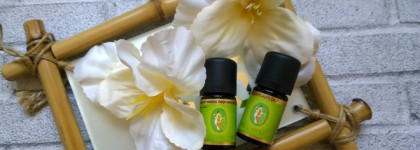 Мои любимые эфирные масла Primavera life - чайное дерево и бергамот