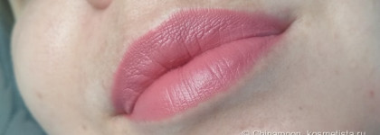 Губная помада Wet n wild Mega Last Matte Lip Color в оттенке In the Flesh
