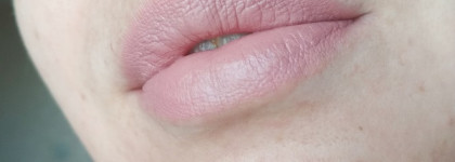 Stellary Nude Lips Long Lasting Lipstick - мода на nude