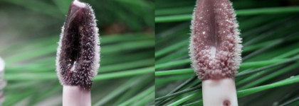 Блески для губ Vivienne Sabo Arcane du destin. Стоит ли охотиться на них?