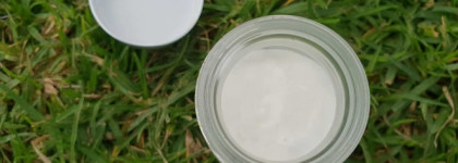 Elizavecca Silky Creamy Donkey Steam Moisture Milky Cream - Елизавека Шёлковый Паровой Крем с маслом ослят