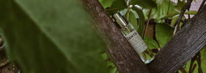 Аромат первого января? Le Labo. Santal 33