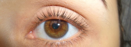 Супербаза под тушь по супербюджетной цене? Да, это – она! Eveline Advance Volumiere активная сыворотка для ресниц 3 в 1