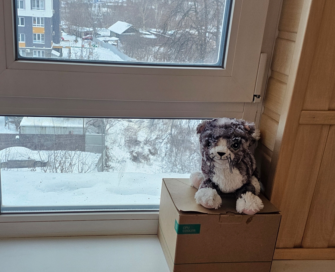 Хранитель пустышек