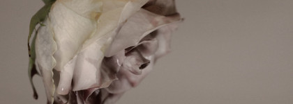 Моя тёмная сторона: Amouage Memoir Woman EDP