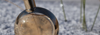 Декабрь, январь и февраль: тройка интересных зимних ароматов