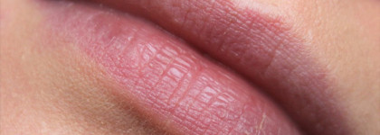 Сочный нюд: KIKO Milano Jelly Stylo #509 Persian Red
