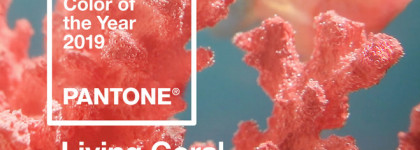 К курортному сезону готовы! Новая палетка Riviera от Anastasia Beverly Hills