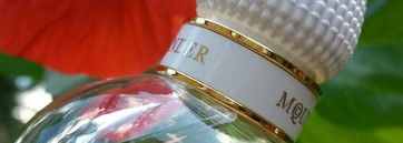 Alexander Mcqueen Eau Blanche -аромат современной элегантной невесты