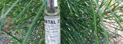 Высокое парфюмерное искусство Santal 33 от Le Labo