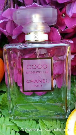 Топ-5 парфюмов Chanel с нотами жасмина