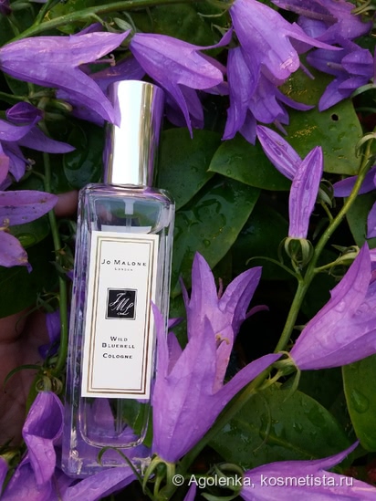 Идеальные нежные ароматы весны - Jo Malone, Guerlain, Dior и Chanel