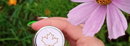 Осенний художник и краски осени - Wood For Her Dsquarеd2 Eau De Toilette