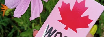 Осенний художник и краски осени - Wood For Her Dsquarеd2 Eau De Toilette