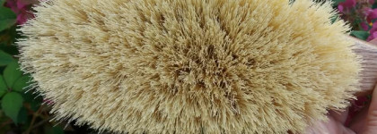 Мой любимый уход Riche