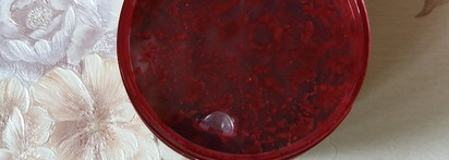 ОZ! Organic Zone: антицеллюлитное обертывание мята с эвкалиптом (охлаждающее) и антицеллюлитный горячий скраб для тела