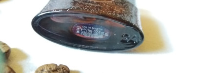 Кофе или белые цветы? Black Opium YSL edt 2018