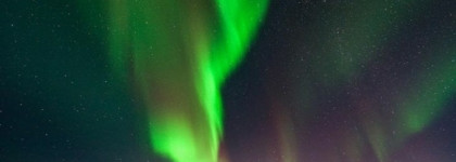 Issey Miyake Nuit D’Issey Bois Arctic