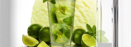 Новинка 2022 года - Mojito Sorbet Edgardio Chilini