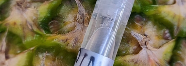 Сладкая осень с Pineapple Sorbet Edgardio Chilini