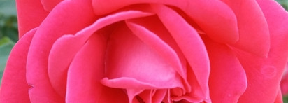 Coco Noir Chanel edp - роскошная осенне-зимняя классика для особого случая