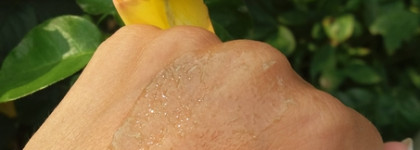 Фитоскраб Neo Skin Premium Professional