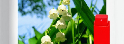 Великолепная семёрка Edgardio Chilini - открытие 2022