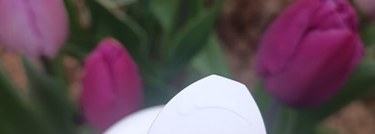 Как избавиться от целлюлита? Антицеллюлитный гель Geltec Body-Care Thermo-Intensive