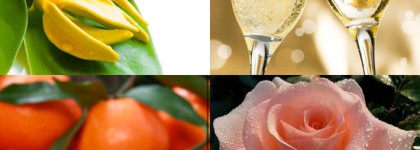 Поймай меня, если сможешь...Мои воспоминания о легенде Chanel Coco Mademoiselle