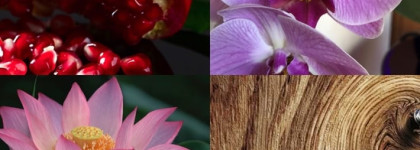 Эйфория, которая никогда не закончится, вихрь эмоций и буря чувств с ароматом Calvin Klein Euphoria