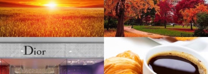 Черный лебедь моей души Dior Miss Dior Le Parfum