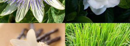 Мои воспоминания с прекрасным ароматом Lancome Hypnose Eau de Parfum