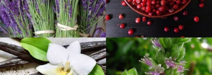 Назад в Париж с чувственным ароматом Eisenberg Back To Paris EDP