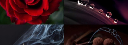 Чувственный аромат моей осени Jo Malone Velvet Rose & Oud Cologne Intense