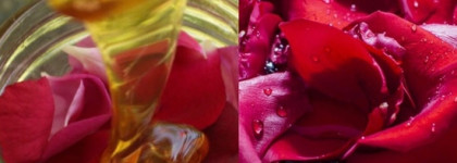 Чувственный аромат моей осени Jo Malone Velvet Rose & Oud Cologne Intense