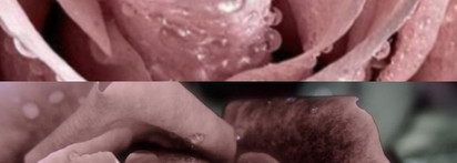 Прикосновение бархата. Моя матовая любимица MAC Lipstick, оттенок Mehr