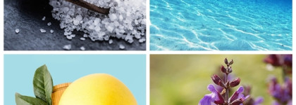 Соленый вкус моря, свежесть прибрежного воздуха с одеколоном Jo Malone Wood Sage & Sea Salt