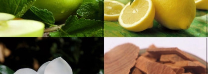 DKNY Be Delicious. Сочный хруст зеленого яблока "Гренни Смит"