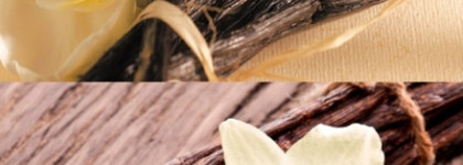 Карамельная вкусняшка в сочетании с сухой ванилью и фруктами. Molinard Vanille Fruitee Eau de parfum