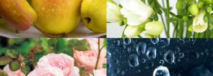 Звонкая груша и сливочная роза. Jo Malone English Pear & Freesia Cologne