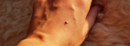 BB крем от Tony Moly Ferment Snail BB Cream Timeless с экстрактом секрета улитки