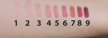 Универсальный Nude. Палетка помад Dior Backstage